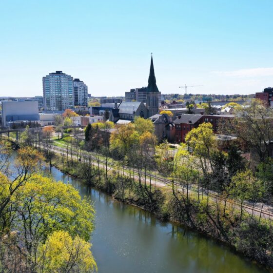 The Essential Guide to Selecting a Business Coach